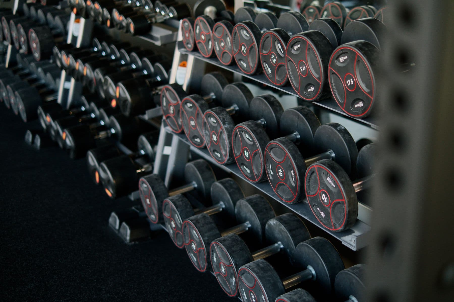 Fit Leeuwarden: donker halterrek met dumbbells